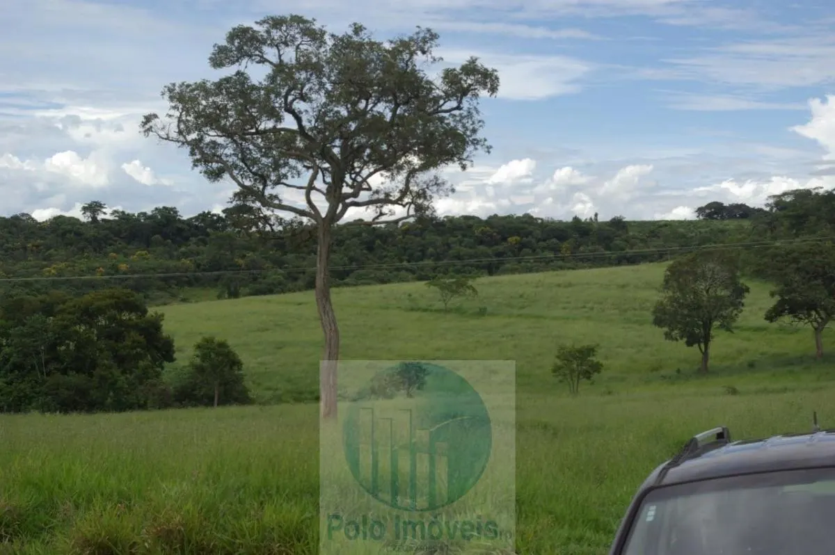 Fazenda à venda de 72 ha em Cajuru, SP, Brasil