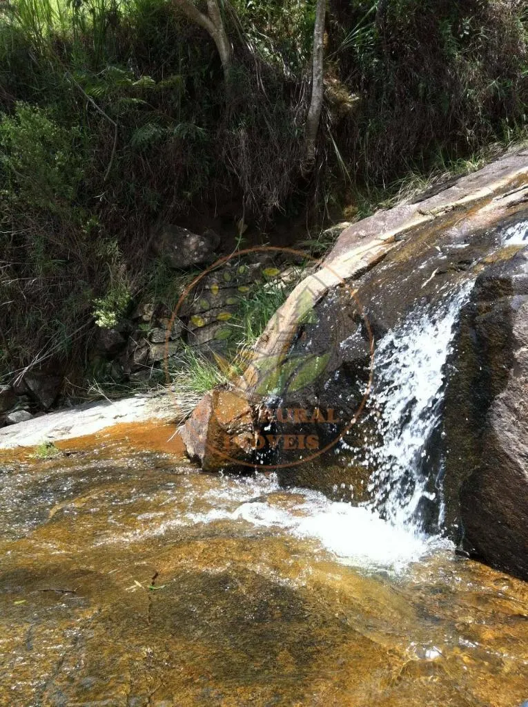 Fazenda à venda de 106 ha em Silveiras, SP, Brasil