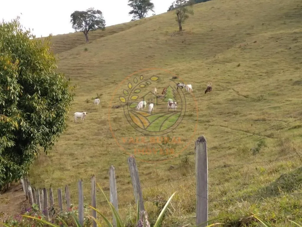 Fazenda à venda de 106 ha em Silveiras, SP, Brasil