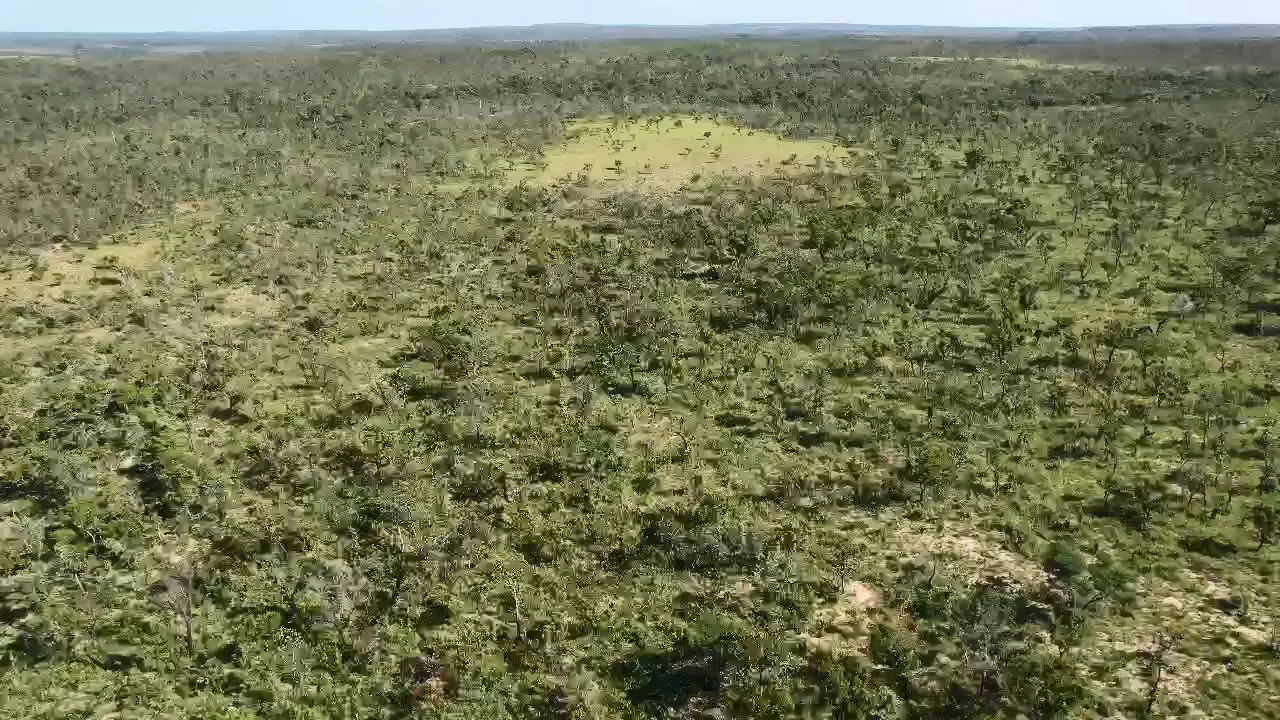 Fazenda à venda de 13.000 ha em Ponte Alta do Tocantins, TO, Brasil