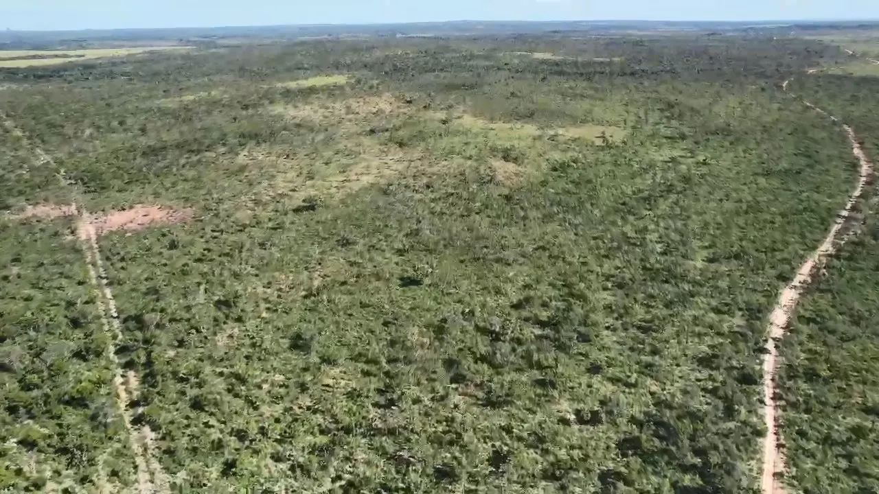 Fazenda à venda de 13.000 ha em Ponte Alta do Tocantins, TO, Brasil