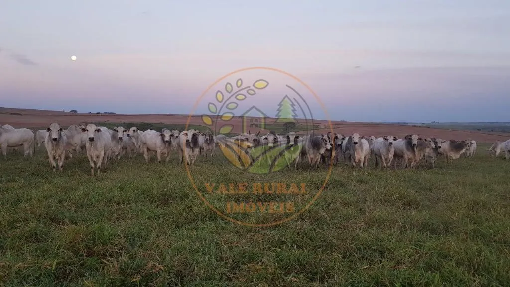 Fazenda à venda de 1.172 ha em Marília, SP, Brasil