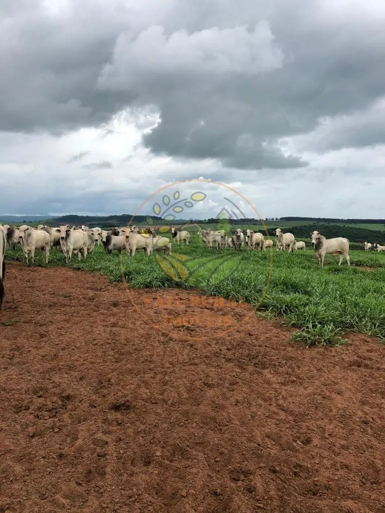 Fazenda à venda de 1.172 ha em Marília, SP, Brasil