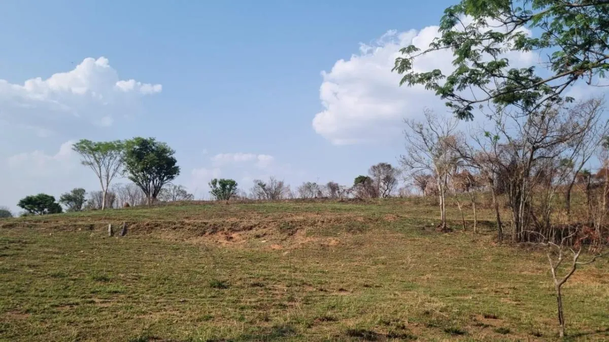 Small farm for sale of 60 acres in Mococa, SP, Brazil