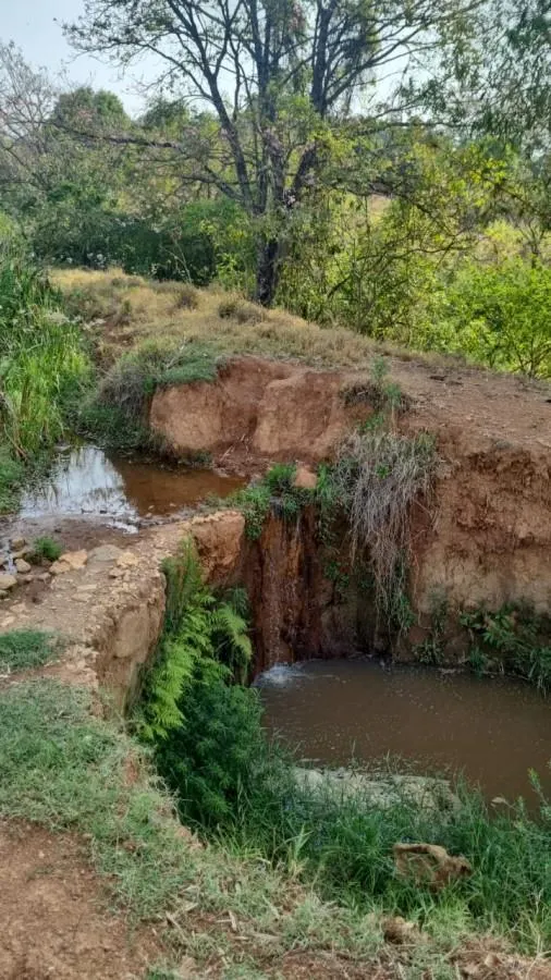 Small farm for sale of 60 acres in Mococa, SP, Brazil