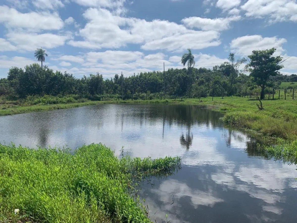 Small farm for sale of 60 acres in Mococa, SP, Brazil