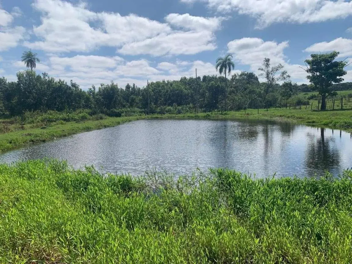 Small farm for sale of 60 acres in Mococa, SP, Brazil