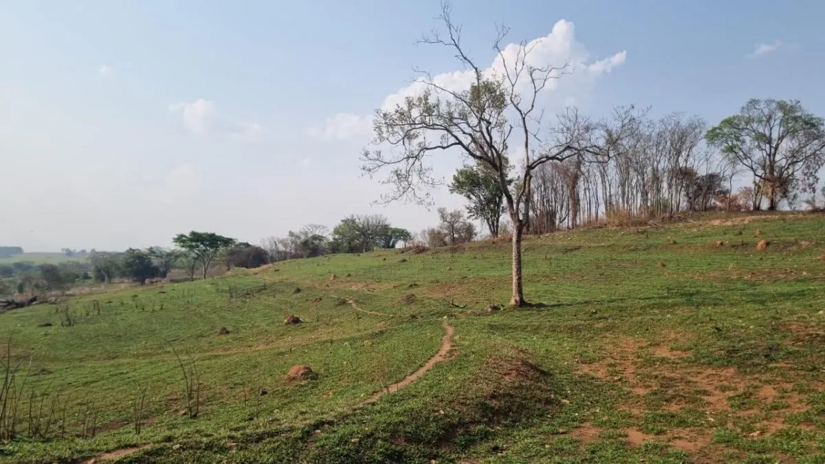 Sítio à venda de 24 ha em Mococa, SP, Brasil