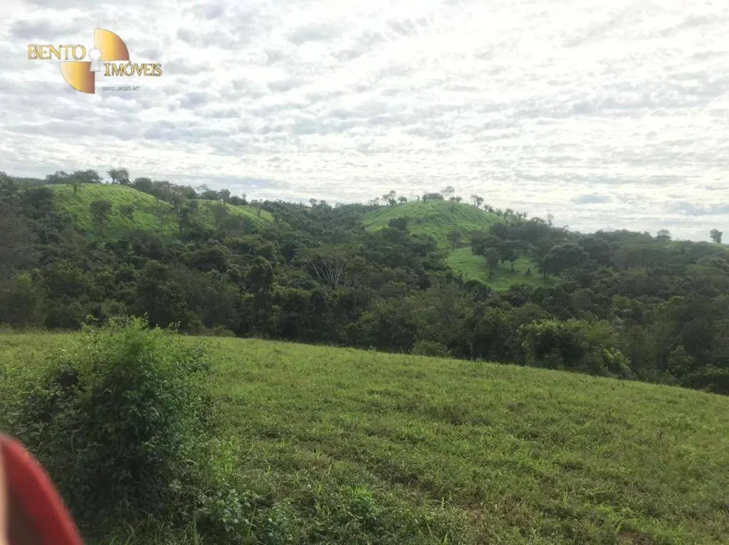 Fazenda à venda de 1.006 ha em Dom Aquino, MT, Brasil
