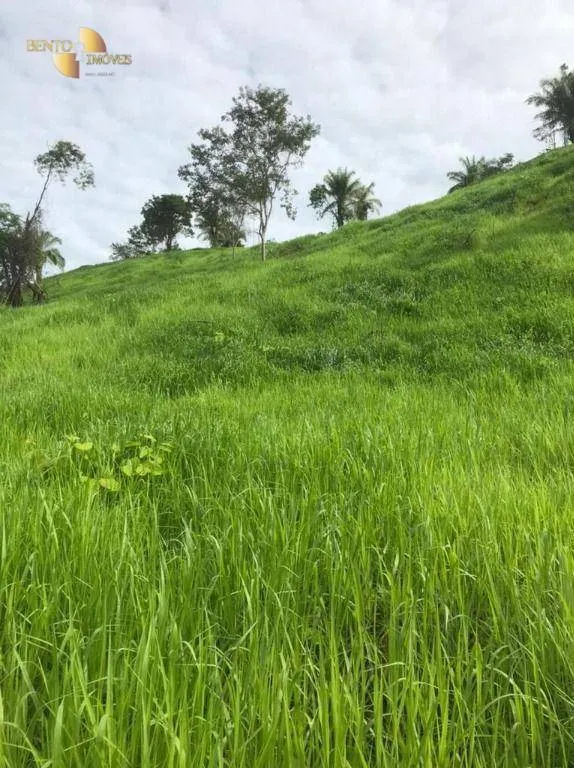 Fazenda à venda de 1.006 ha em Dom Aquino, MT, Brasil
