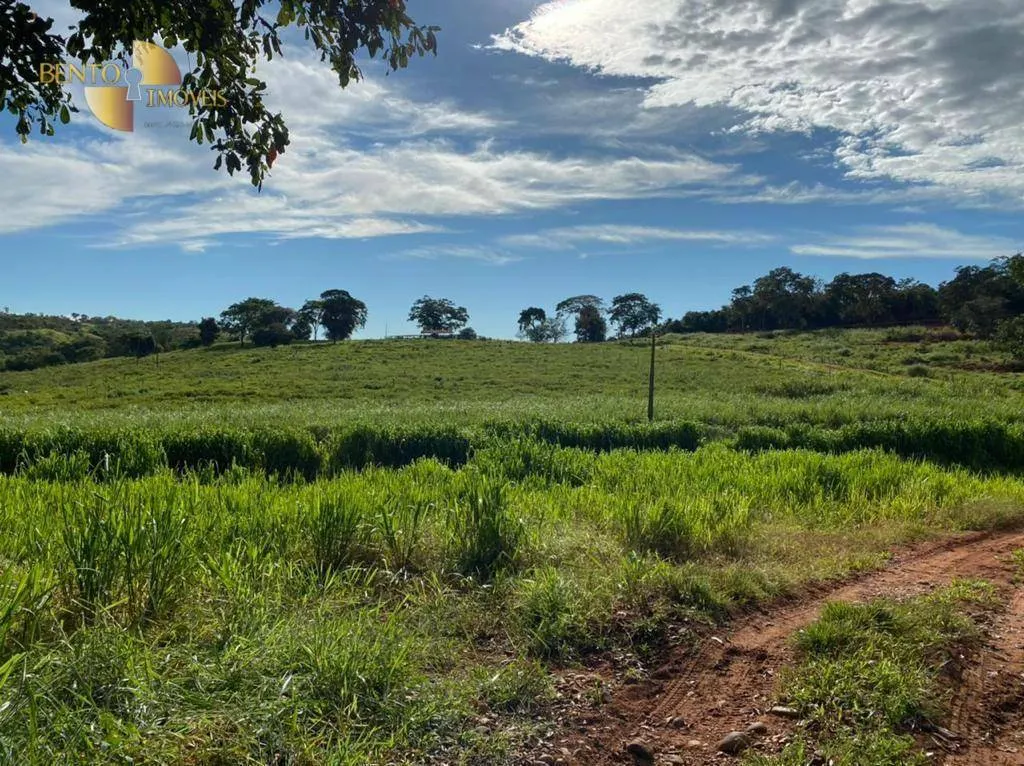 Fazenda à venda de 1.006 ha em Dom Aquino, MT, Brasil