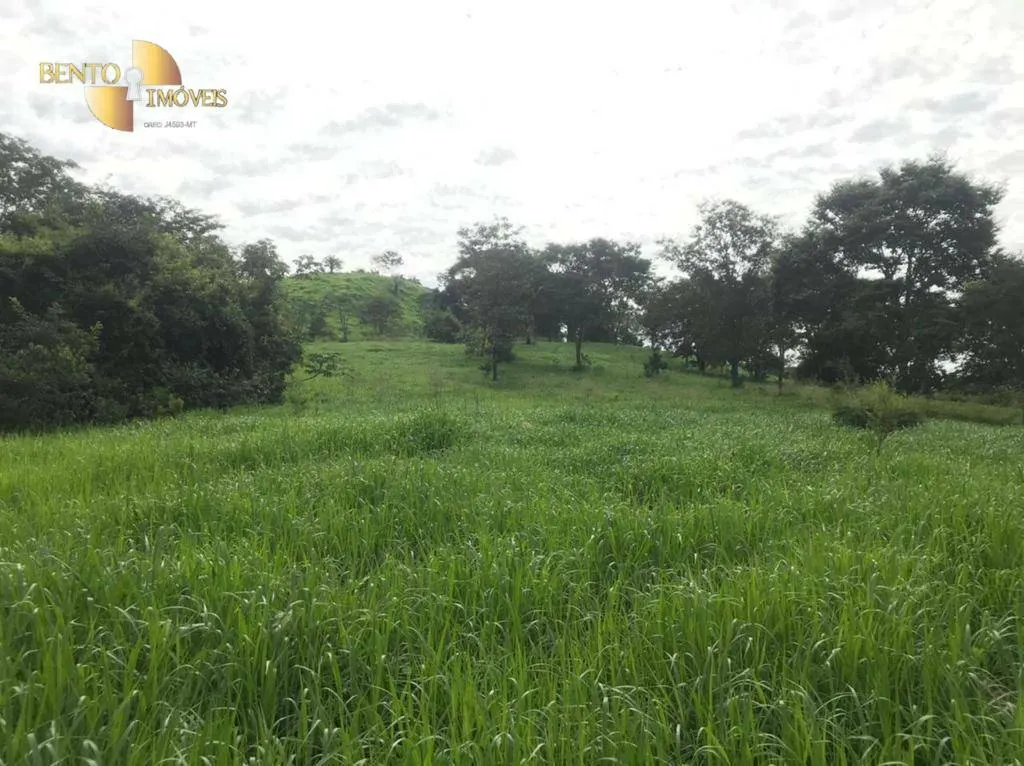 Fazenda à venda de 1.006 ha em Dom Aquino, MT, Brasil