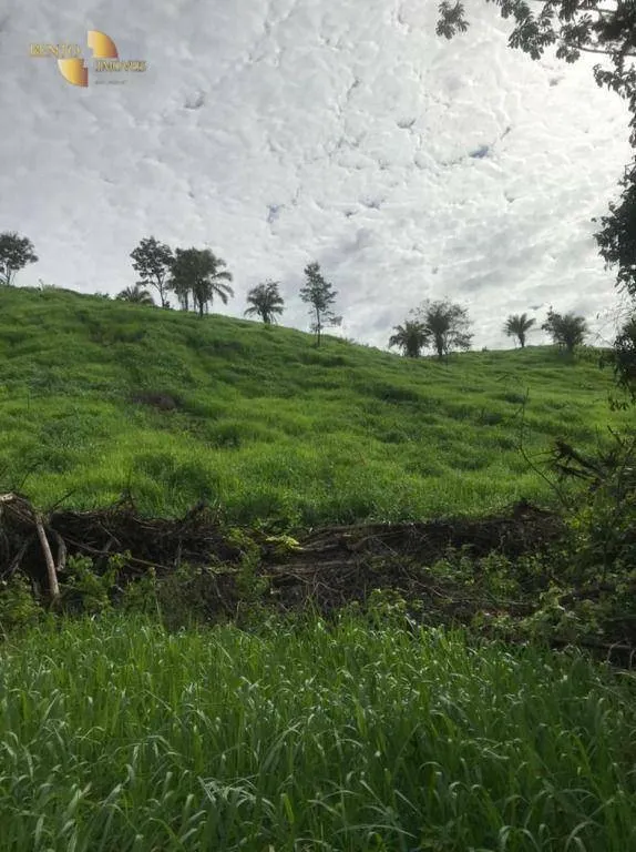 Fazenda à venda de 1.006 ha em Dom Aquino, MT, Brasil