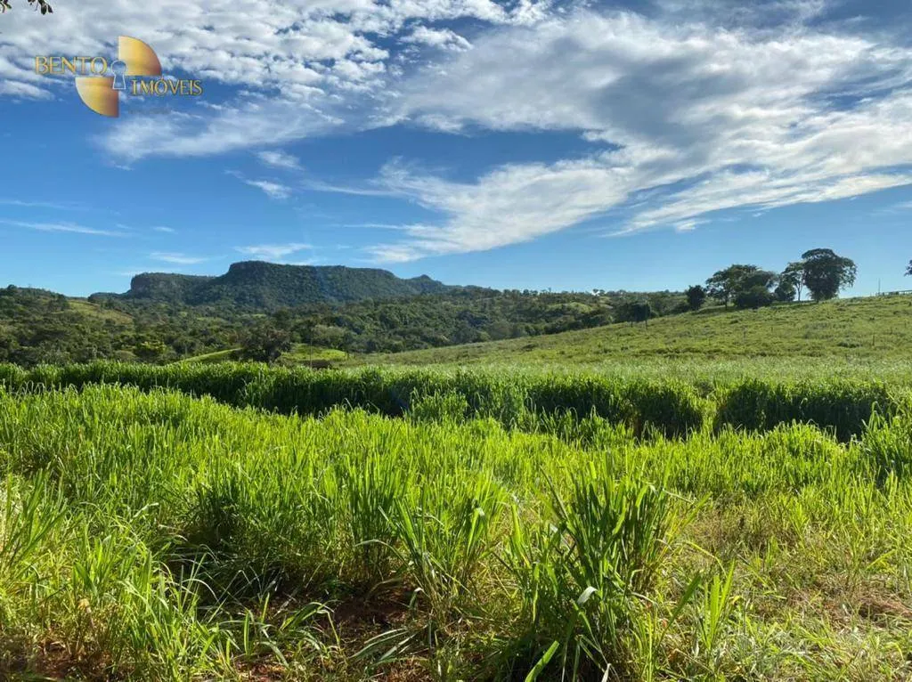 Fazenda à venda de 1.006 ha em Dom Aquino, MT, Brasil