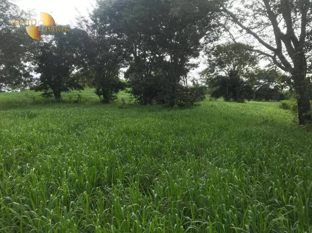 Fazenda à venda de 1.006 ha em Dom Aquino, MT, Brasil