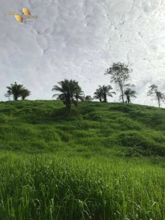 Fazenda à venda de 1.006 ha em Dom Aquino, MT, Brasil
