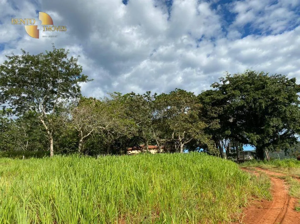 Fazenda à venda de 1.006 ha em Dom Aquino, MT, Brasil