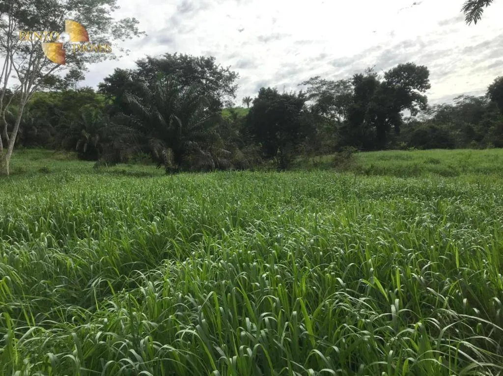 Fazenda à venda de 1.006 ha em Dom Aquino, MT, Brasil