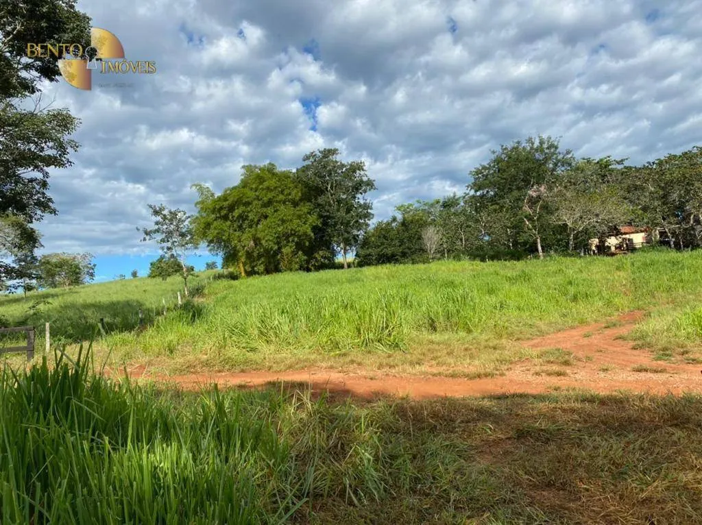 Fazenda à venda de 1.006 ha em Dom Aquino, MT, Brasil