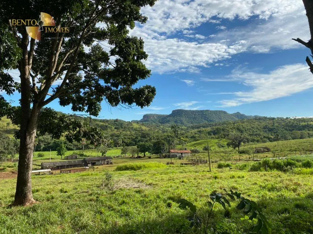 Fazenda à venda de 1.006 ha em Dom Aquino, MT, Brasil