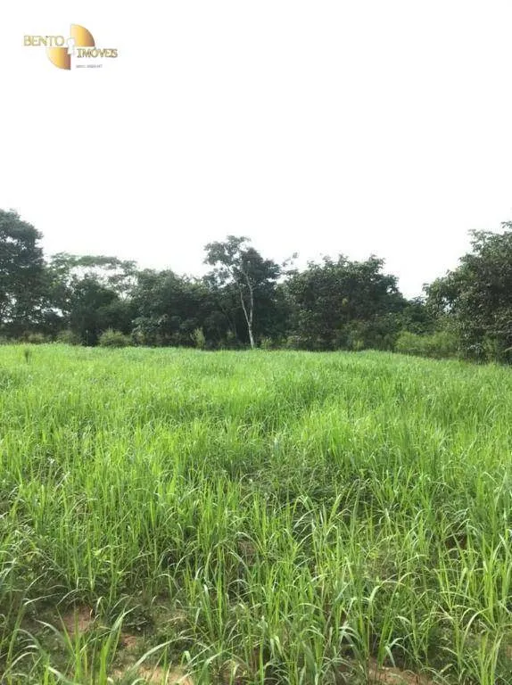 Fazenda à venda de 1.006 ha em Dom Aquino, MT, Brasil