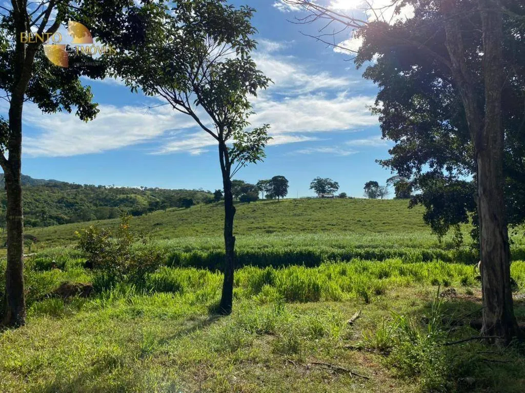 Fazenda à venda de 1.006 ha em Dom Aquino, MT, Brasil
