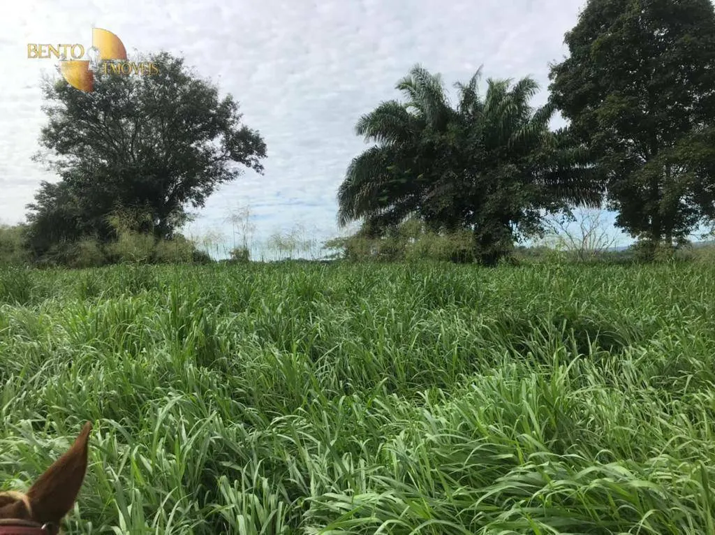 Fazenda à venda de 1.006 ha em Dom Aquino, MT, Brasil