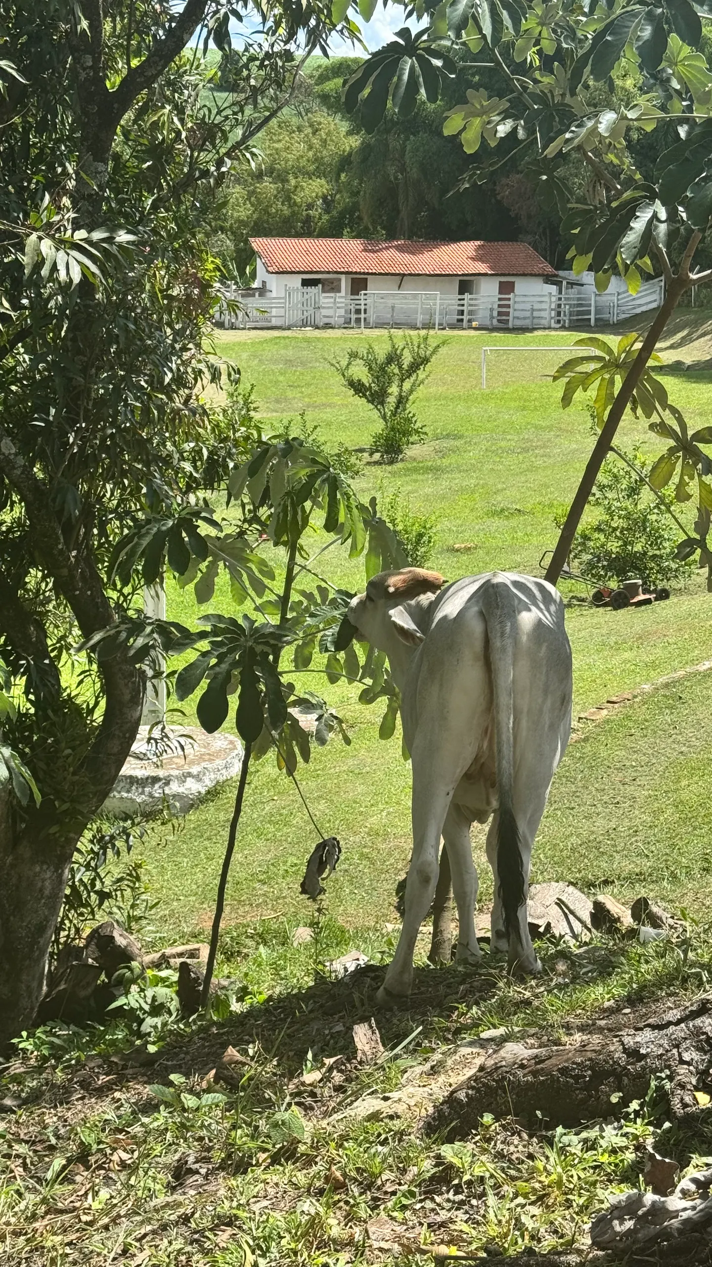Sítio à venda de 5 ha em Porto Feliz, SP, Brasil