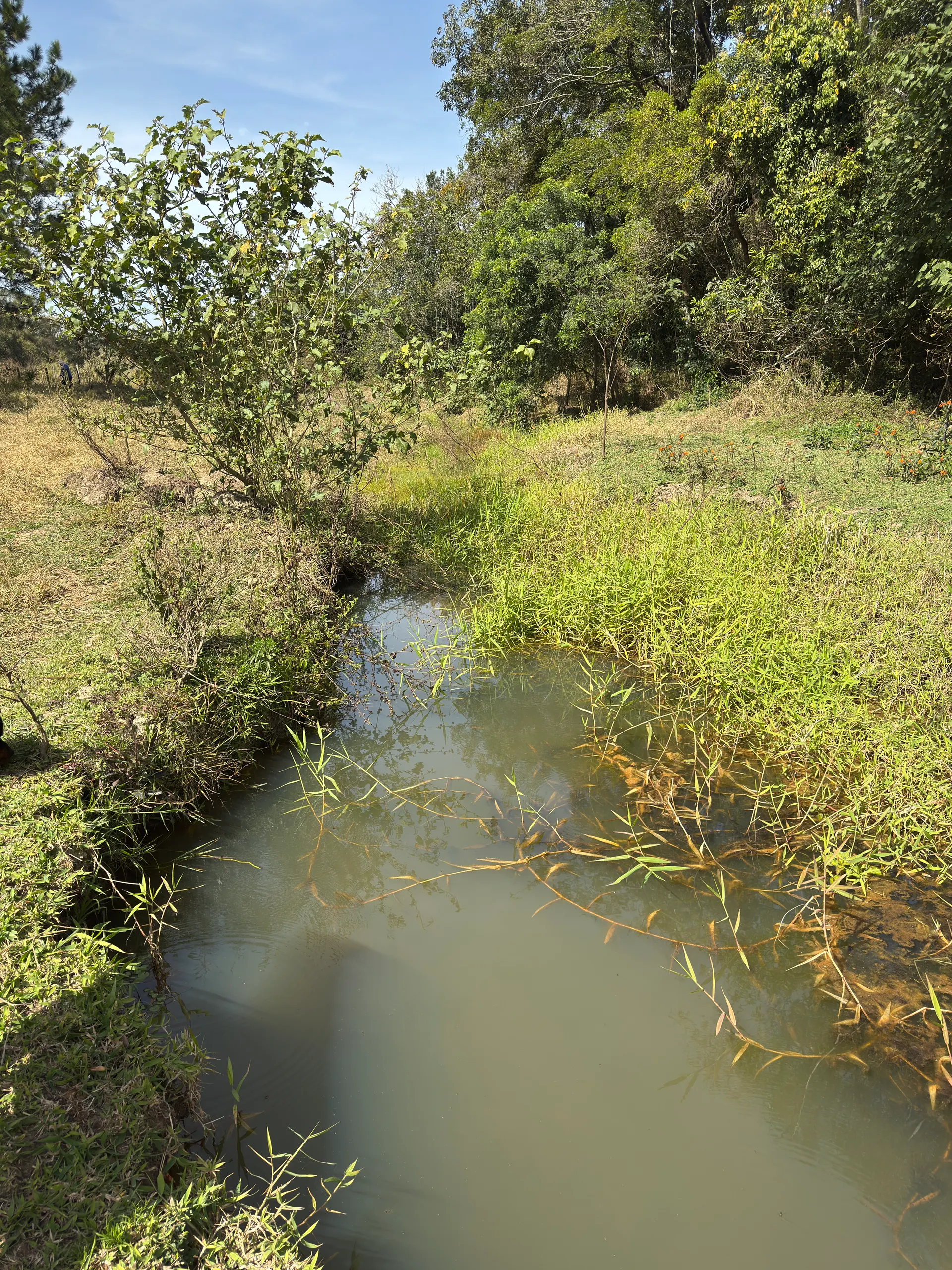 Sítio à venda de 5 ha em Porto Feliz, SP, Brasil