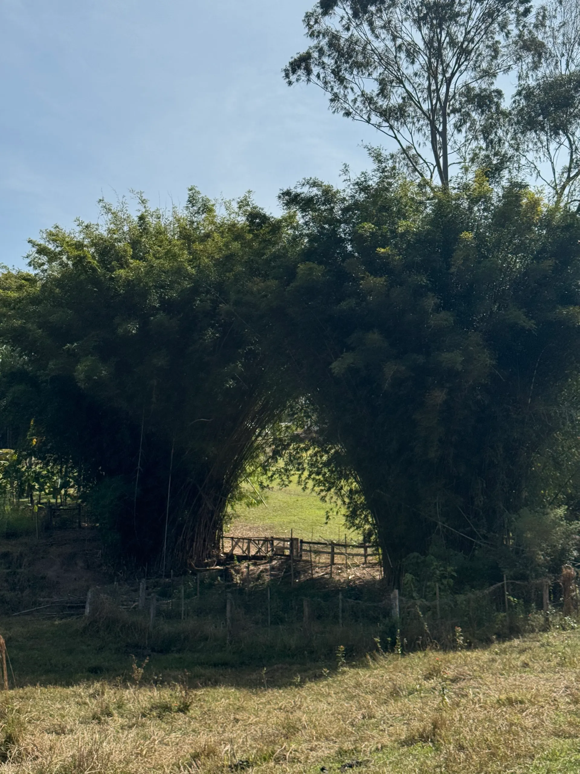 Sítio à venda de 5 ha em Porto Feliz, SP, Brasil