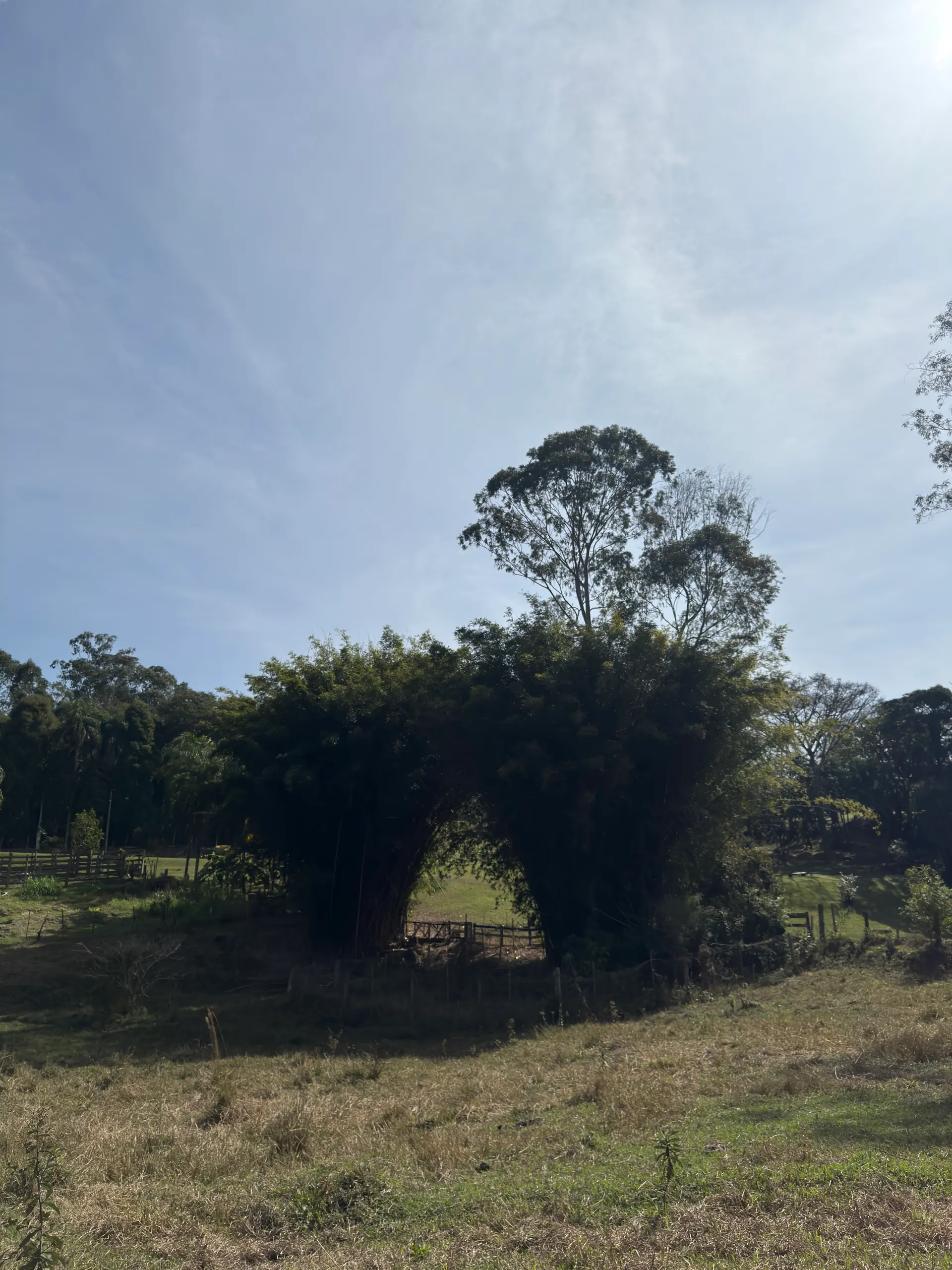 Sítio à venda de 5 ha em Porto Feliz, SP, Brasil
