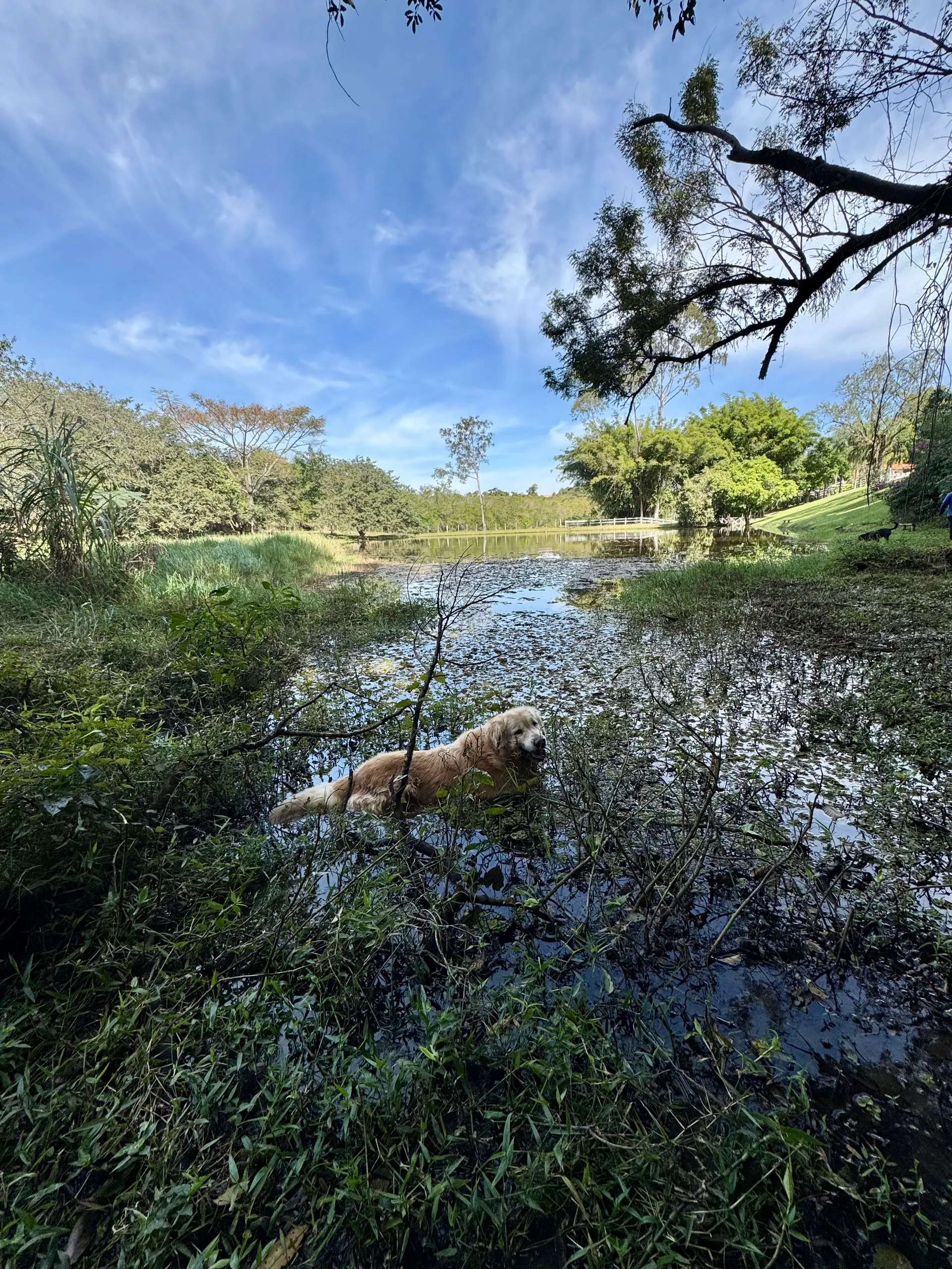 Sítio à venda de 5 ha em Porto Feliz, SP, Brasil