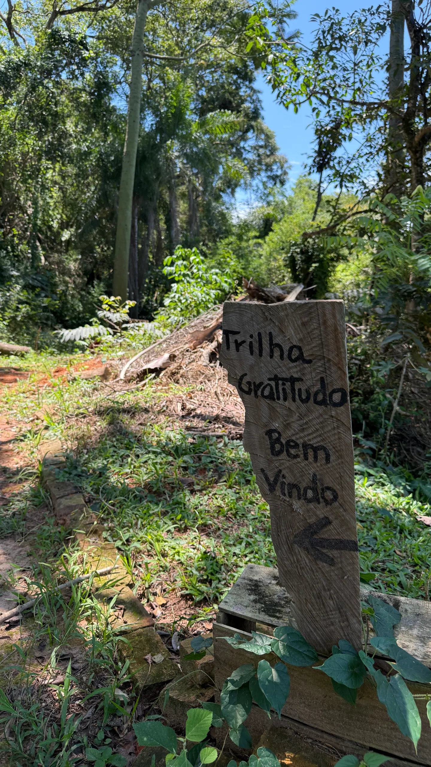 Sítio à venda de 5 ha em Porto Feliz, SP, Brasil