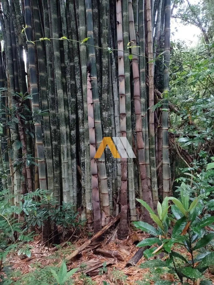 Sítio à venda de 7 ha em Piedade, SP, Brasil