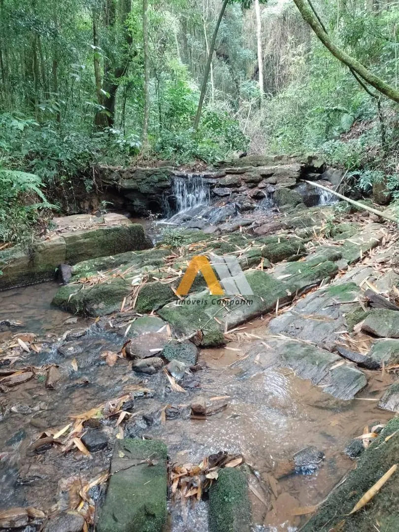Sítio à venda de 7 ha em Piedade, SP, Brasil
