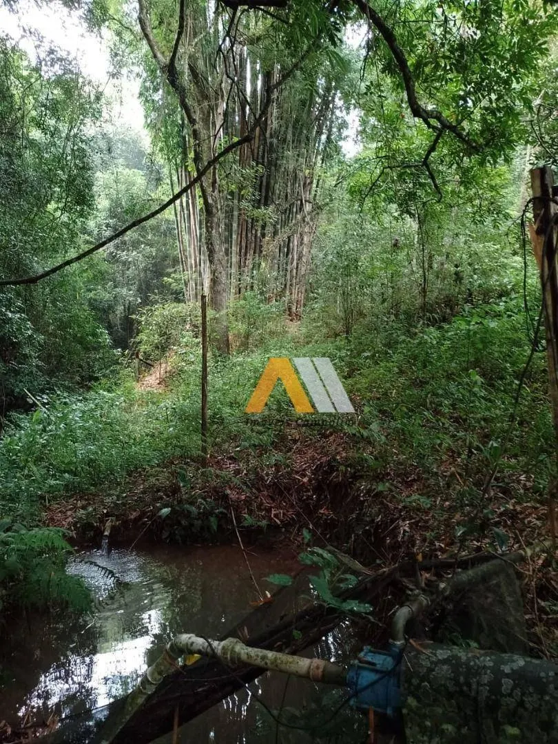 Sítio à venda de 7 ha em Piedade, SP, Brasil