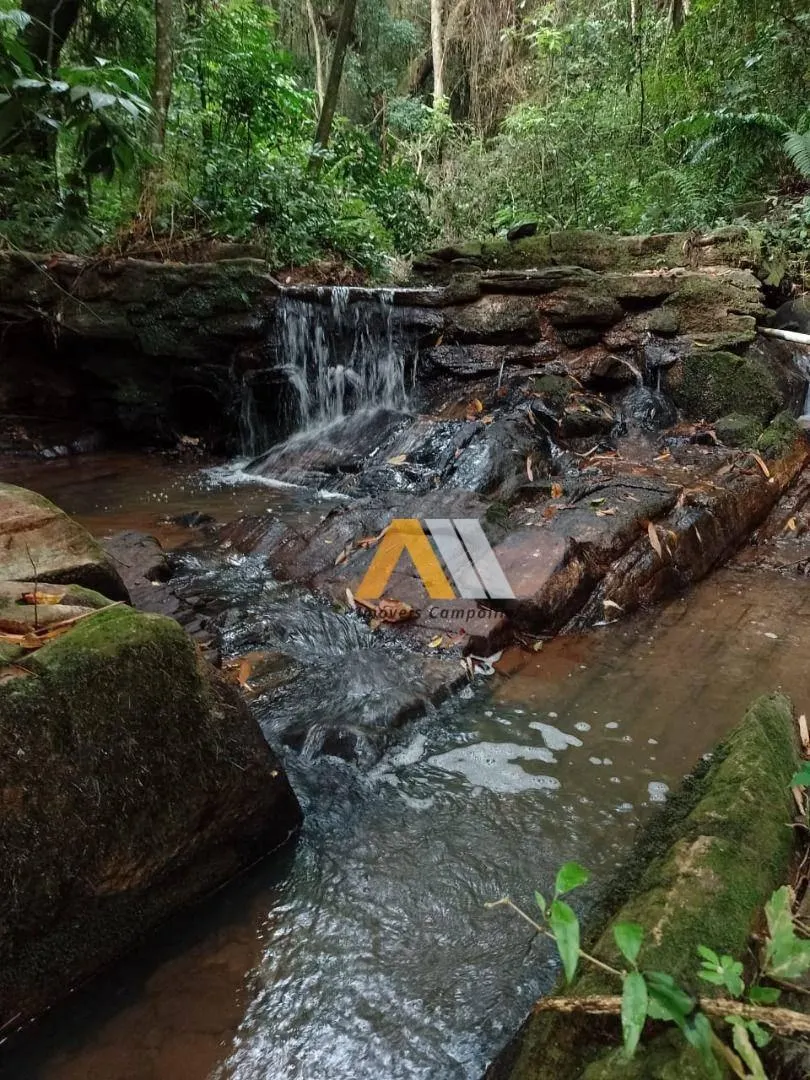 Sítio à venda de 7 ha em Piedade, SP, Brasil