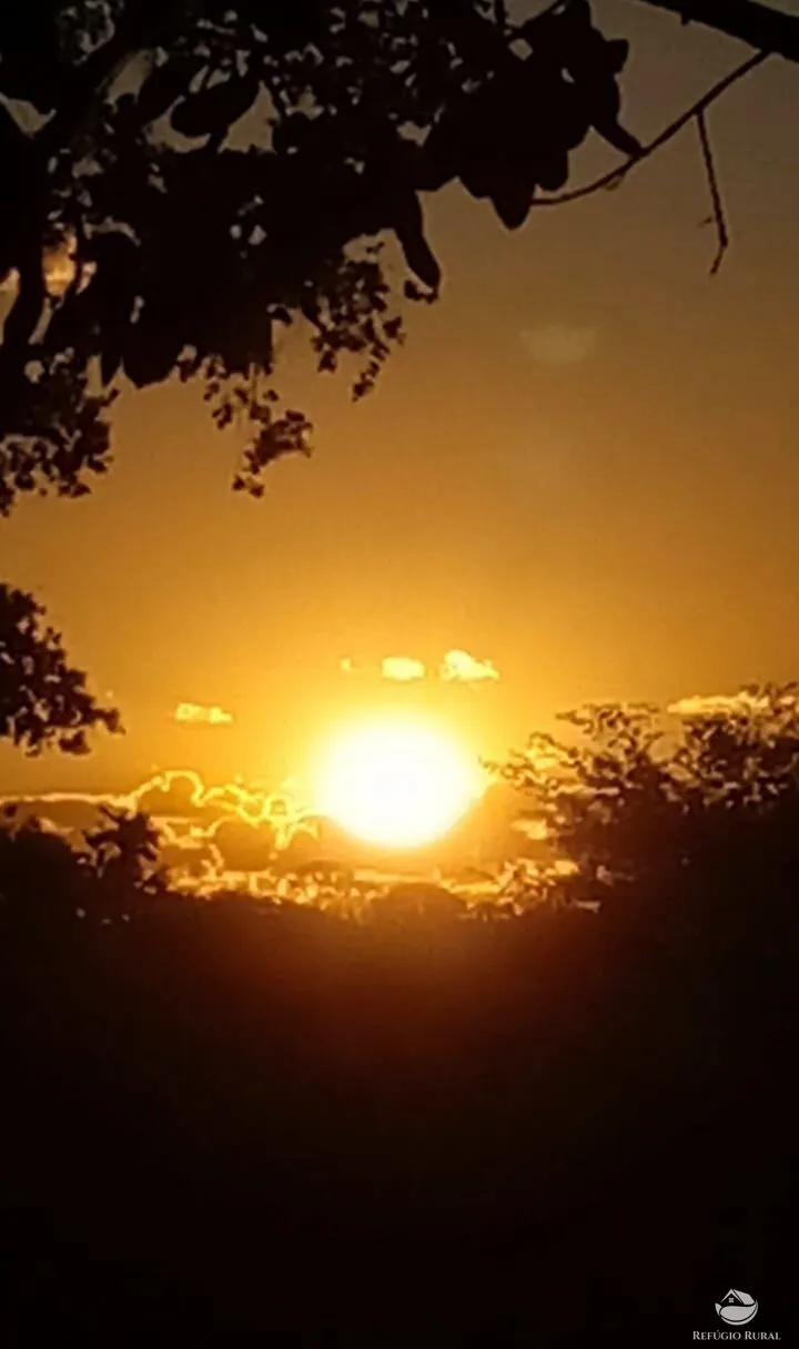 Sítio à venda de 1 ha em Mateiros, TO, Brasil