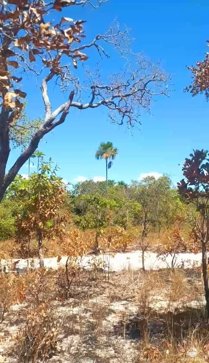 Sítio à venda de 1 ha em Mateiros, TO, Brasil