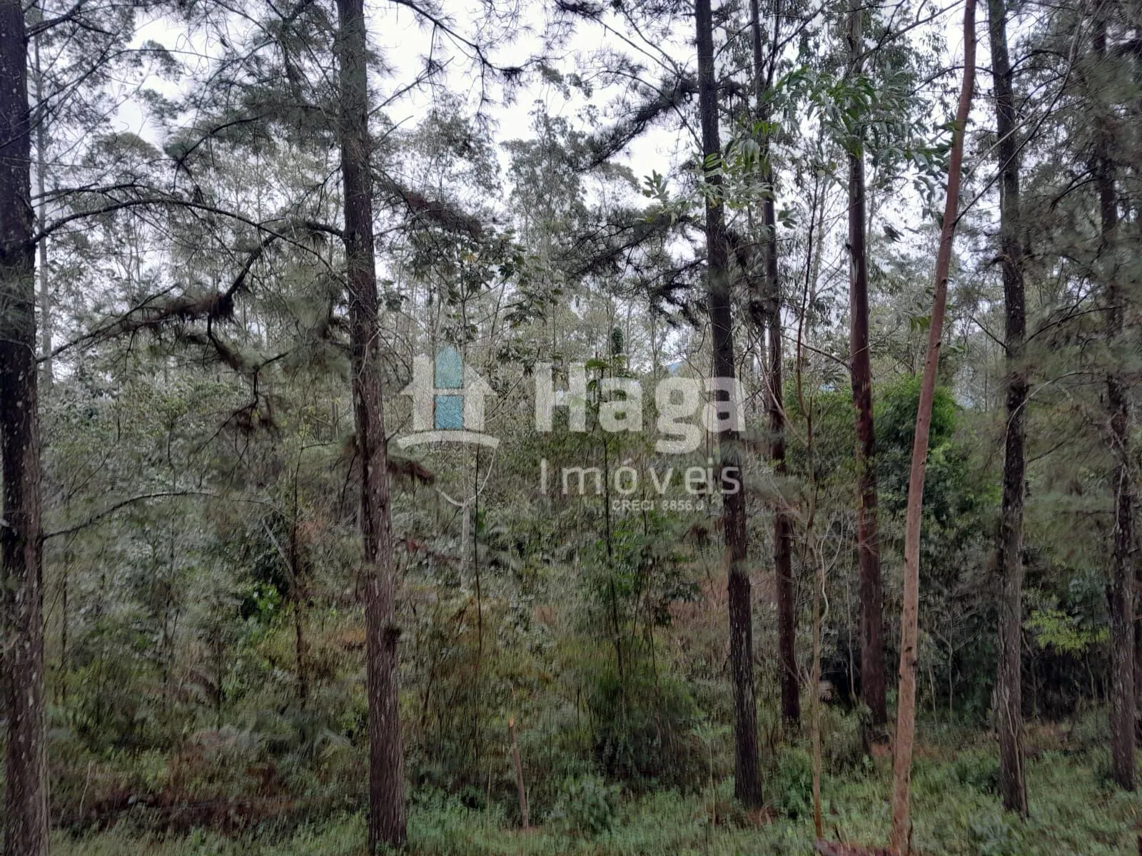 Country home for sale of 51 acres in Turvo, SC, Brazil