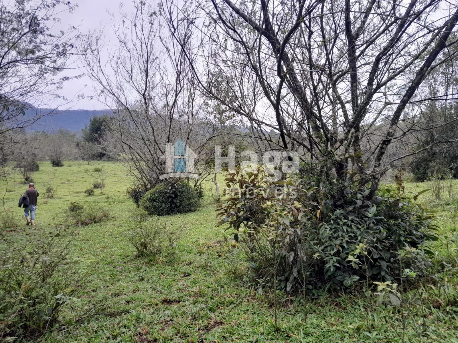 Country home for sale of 51 acres in Turvo, SC, Brazil