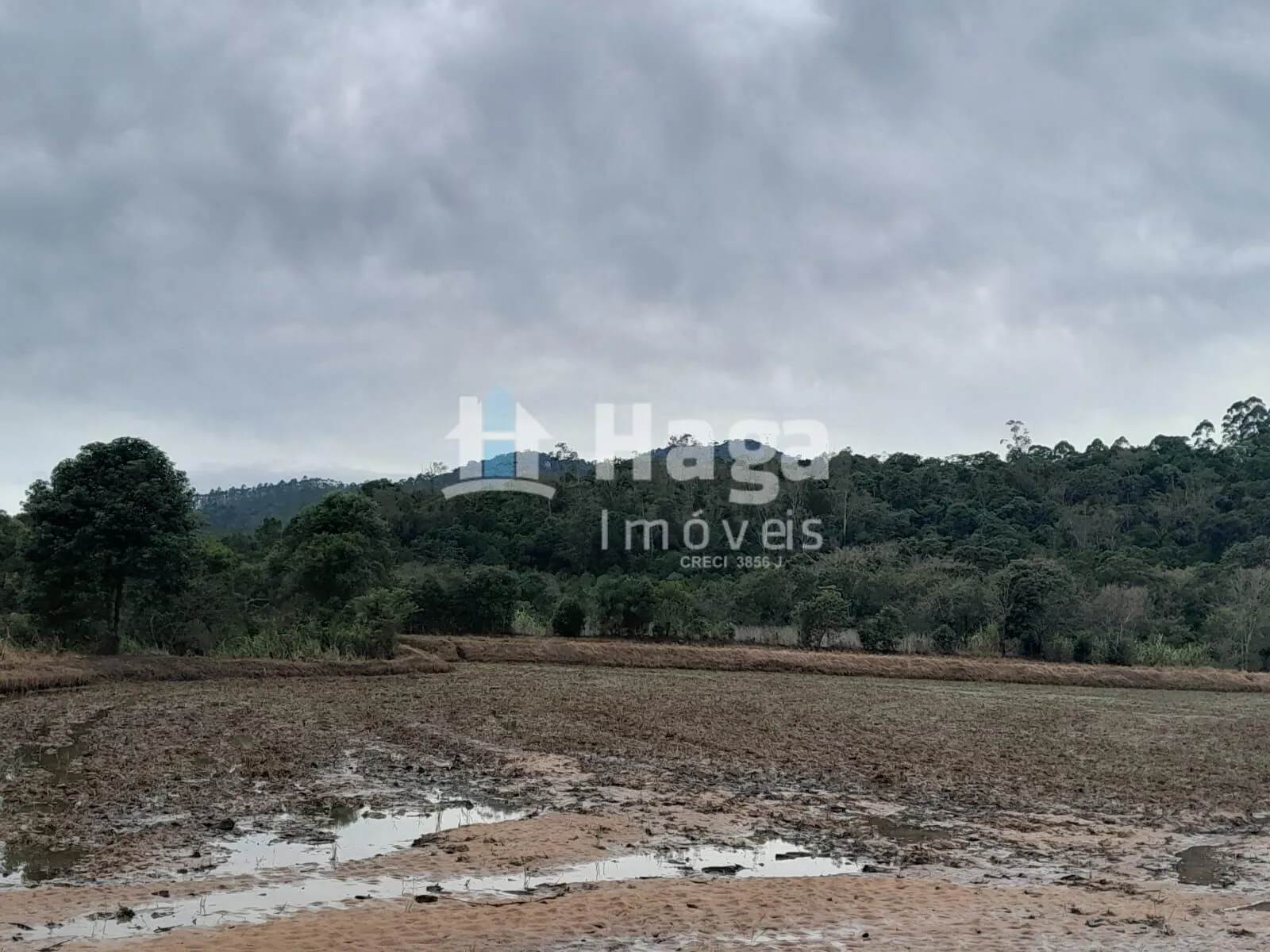 Country home for sale of 51 acres in Turvo, SC, Brazil