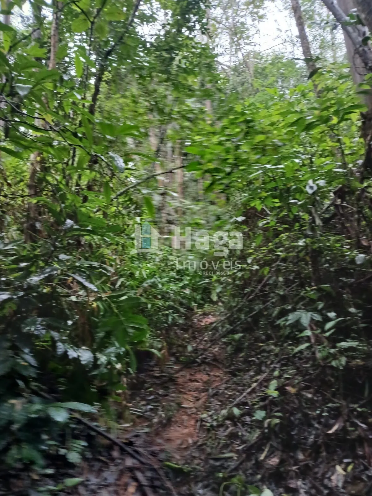 Country home for sale of 51 acres in Turvo, SC, Brazil