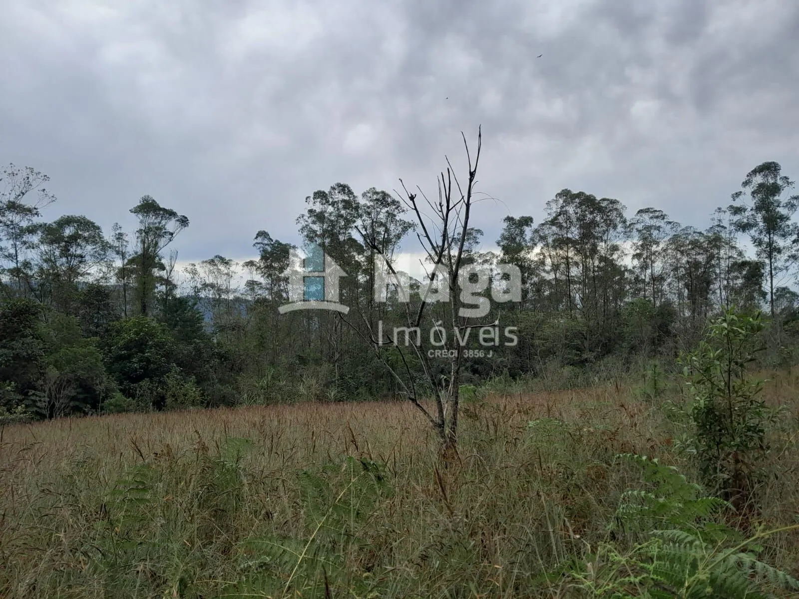 Country home for sale of 51 acres in Turvo, SC, Brazil
