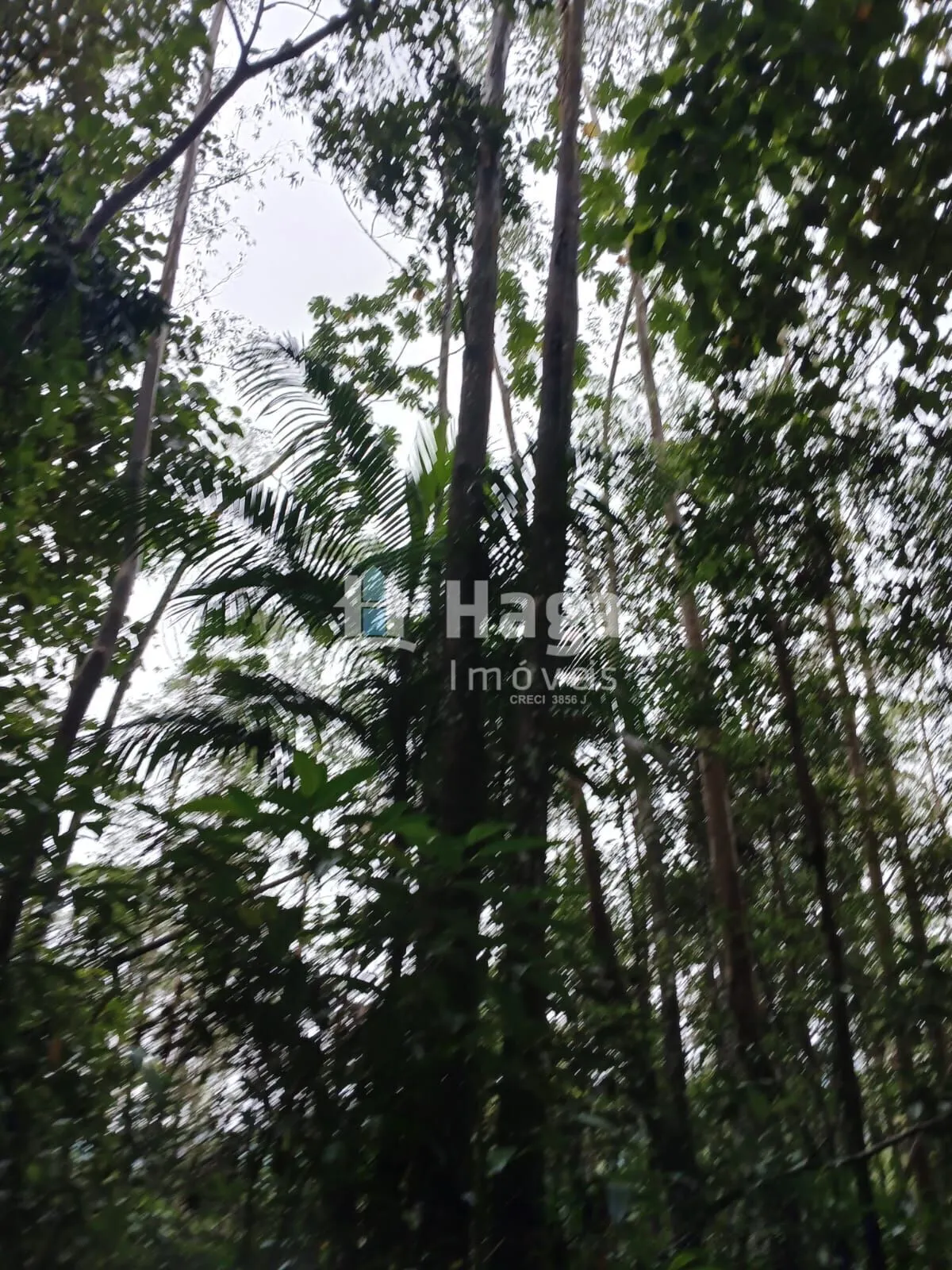 Country home for sale of 51 acres in Turvo, SC, Brazil