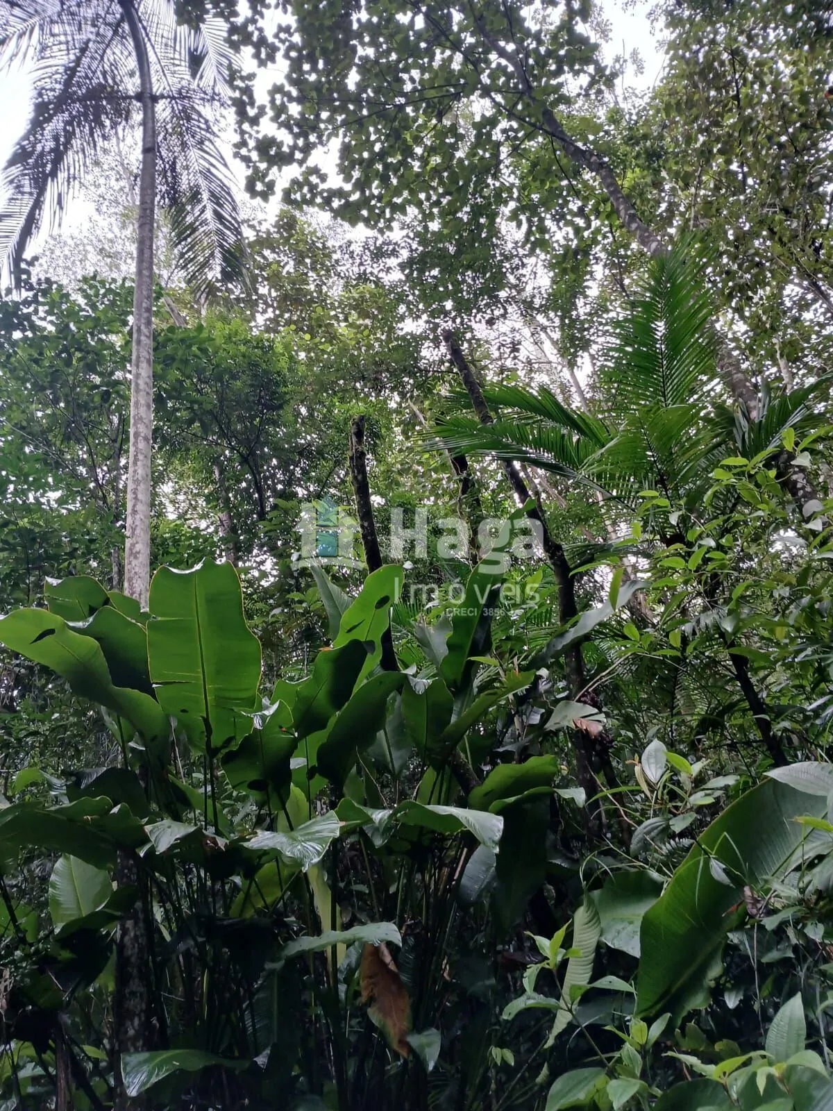 Country home for sale of 51 acres in Turvo, SC, Brazil