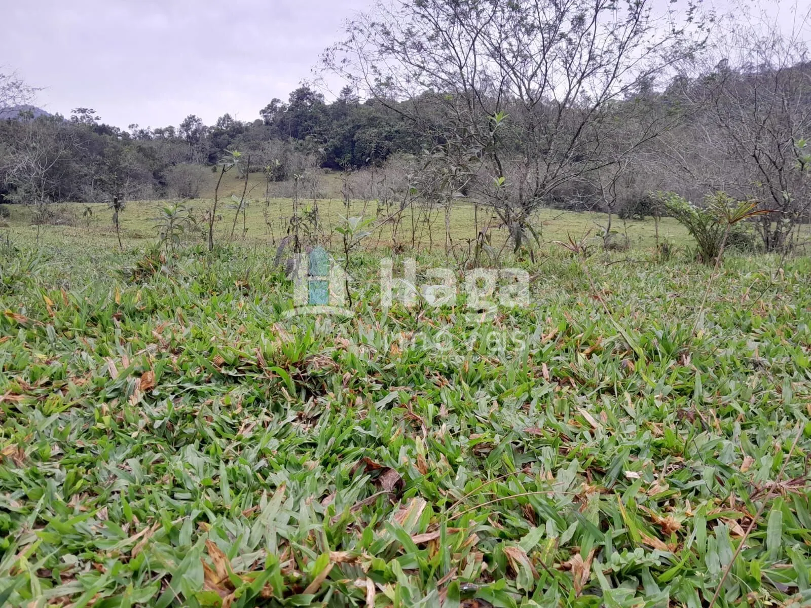 Country home for sale of 51 acres in Turvo, SC, Brazil