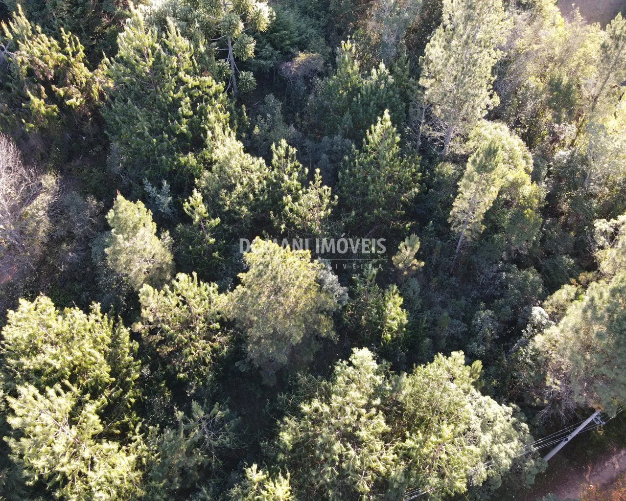 Plot for sale of 1,030 m² in Campos do Jordão, SP, Brazil