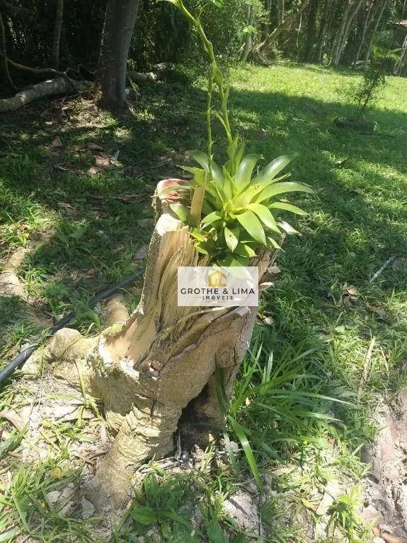 Country home for sale of 3 acres in Juquitiba, SP, Brazil