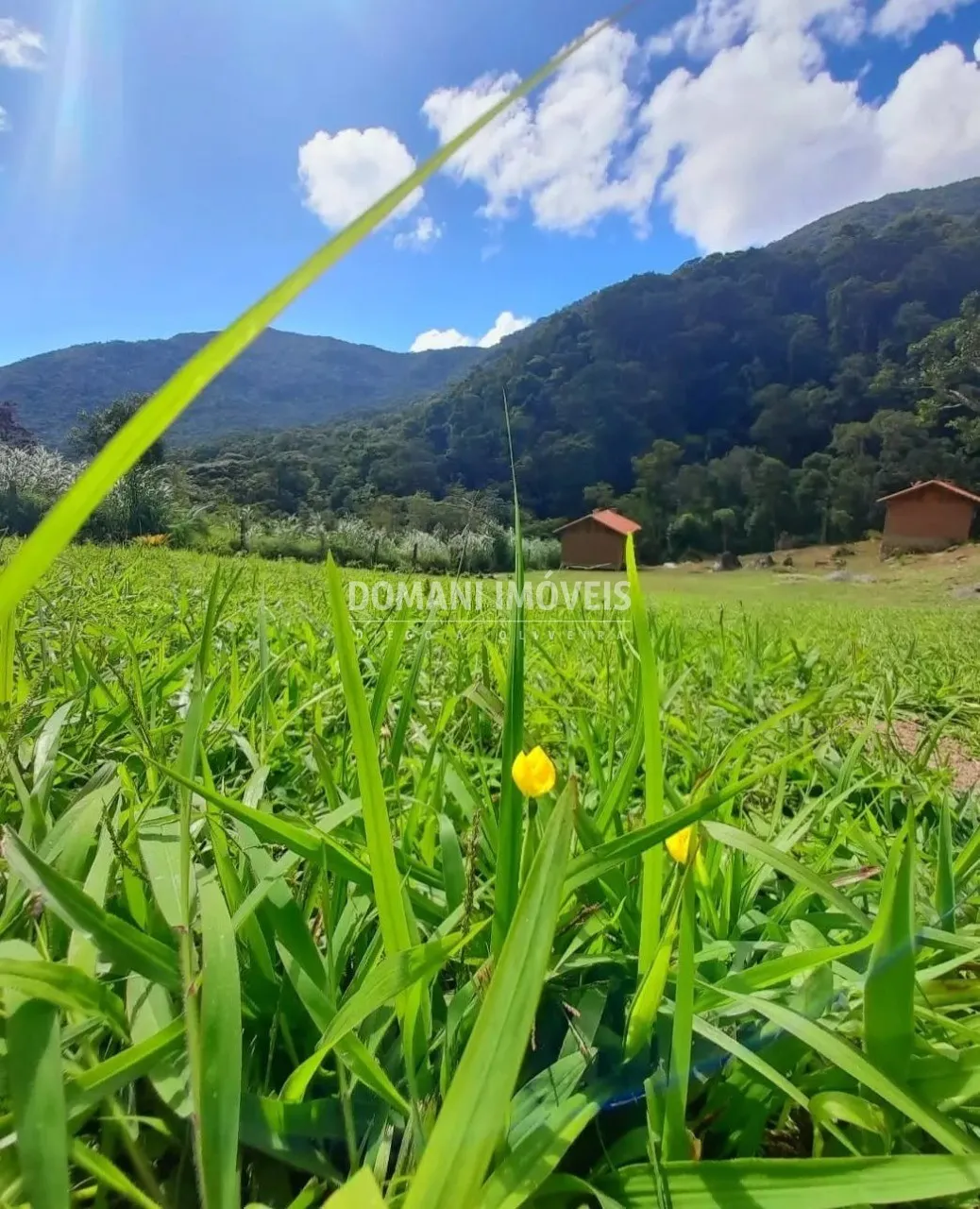 Casa à venda de 2.950 m² em Itamonte, MG, Brasil